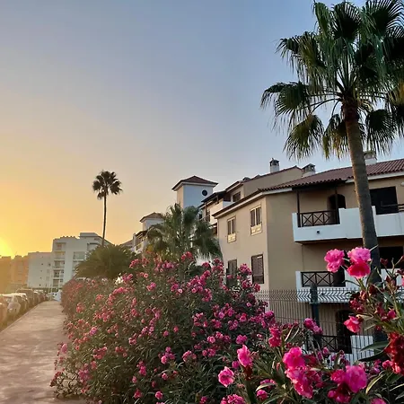 La Fiesta * Σαν Μιγκέλ ντε Αμπόνα